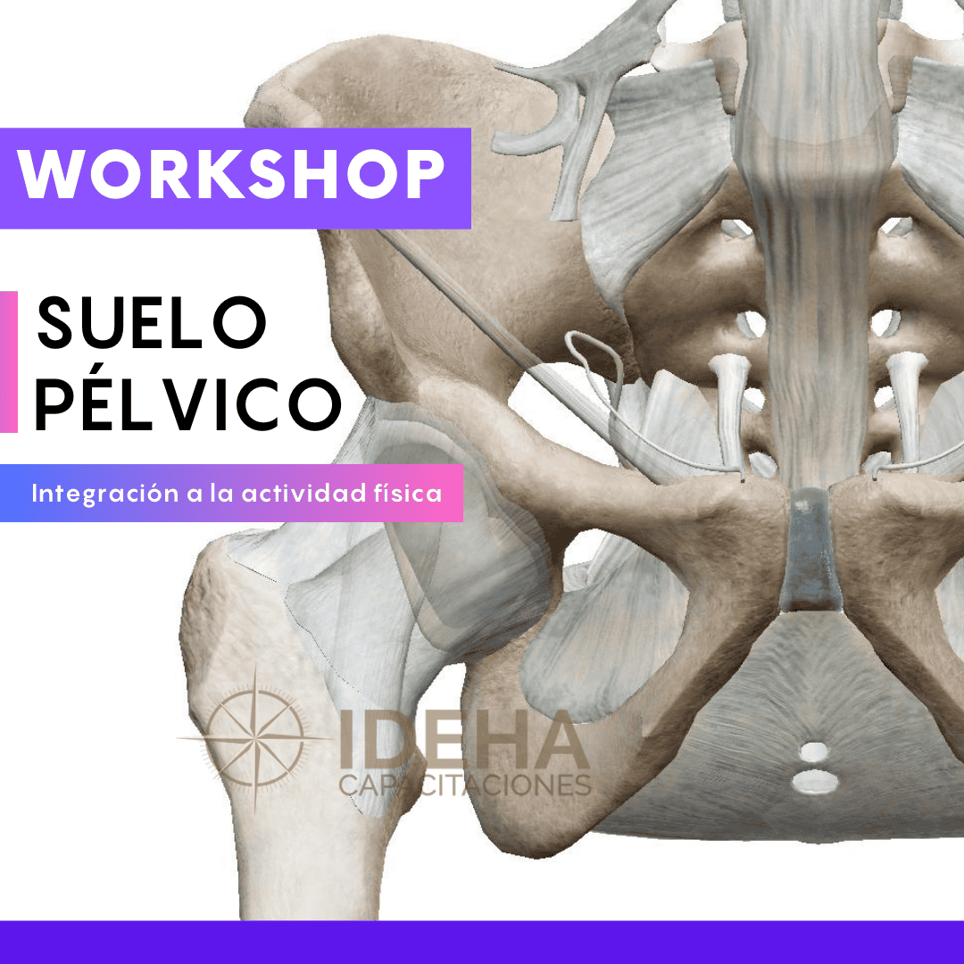Workshop Online: Suelo pélvico - Imagen 2